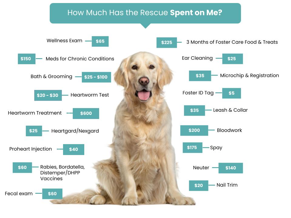 Saving Grace and Her Furry Friends Rescue - Fee Graphic (1)