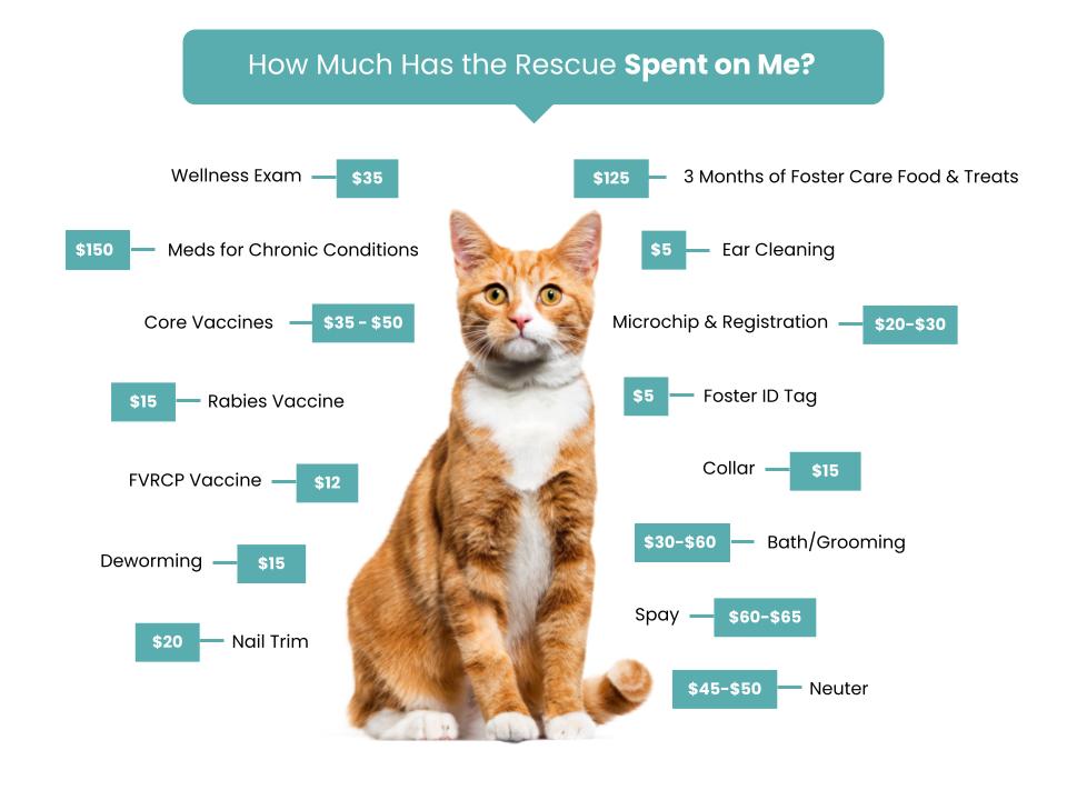 Saving Grace and Her Furry Friends Rescue - Fee Graphic (2)