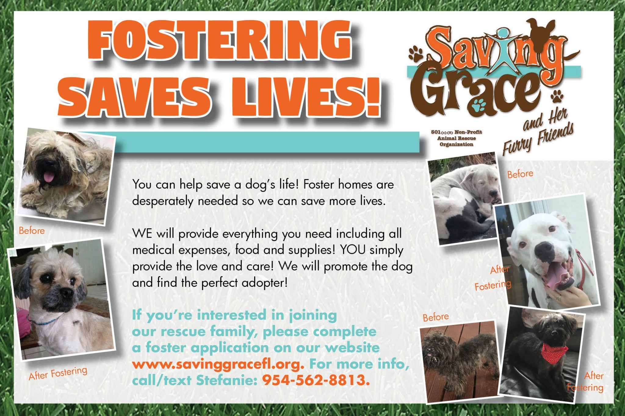fostering2