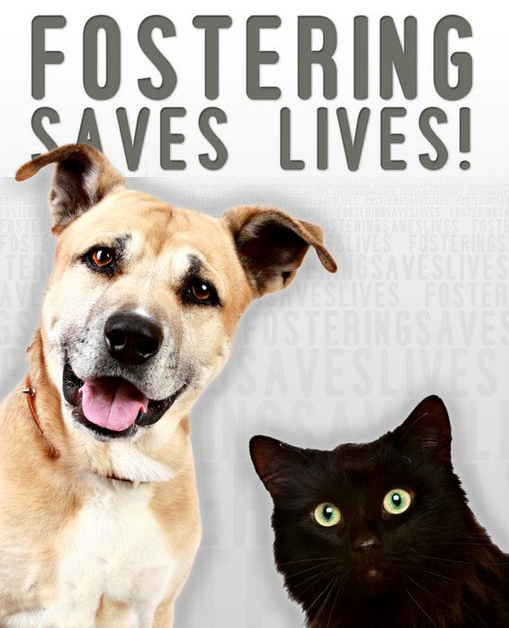 fostering