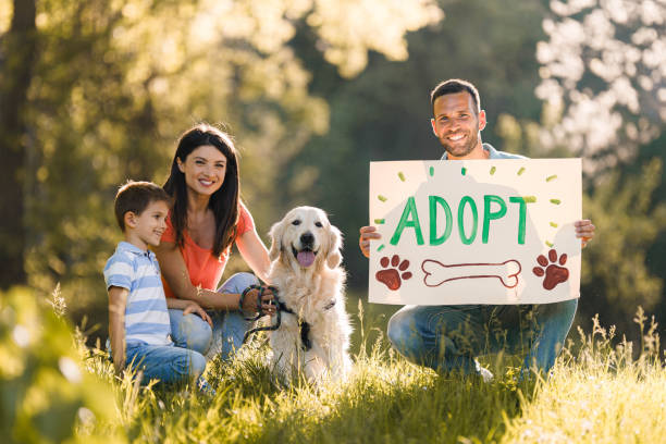 Happy family spending a spring day with their adopted golden retriever in nature. Parents are looking at camera while man is holding adopt sign.